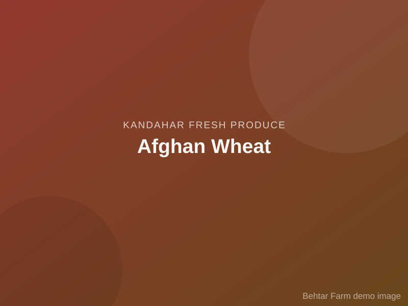 Afghan Wheat