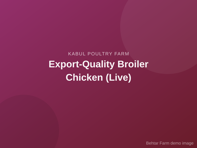 Export-Quality Broiler Chicken (Live)