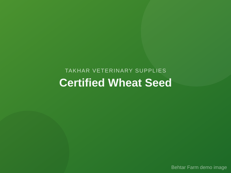Certified Wheat Seed