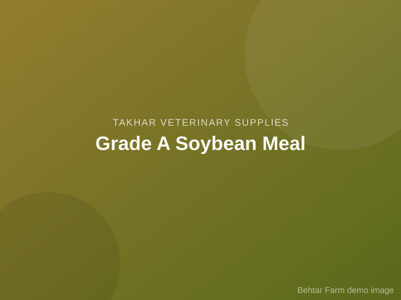 Grade A Soybean Meal