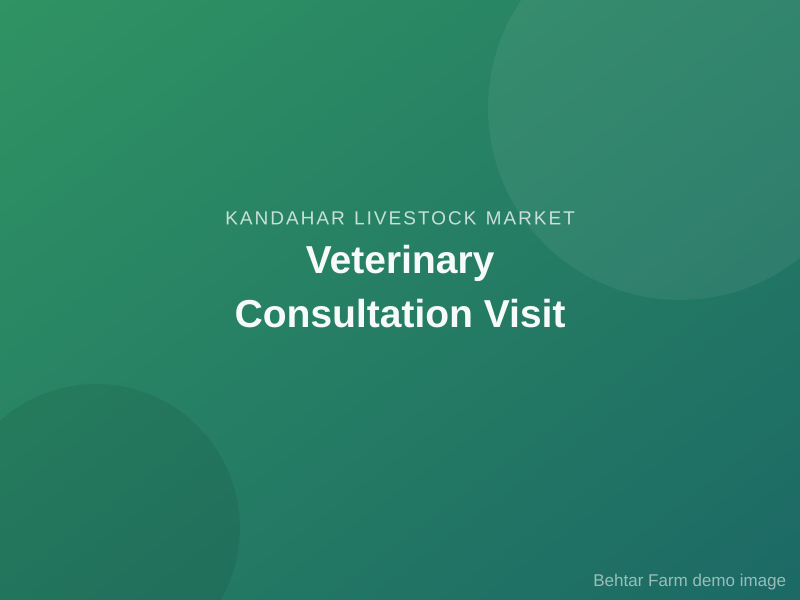 Veterinary Consultation Visit