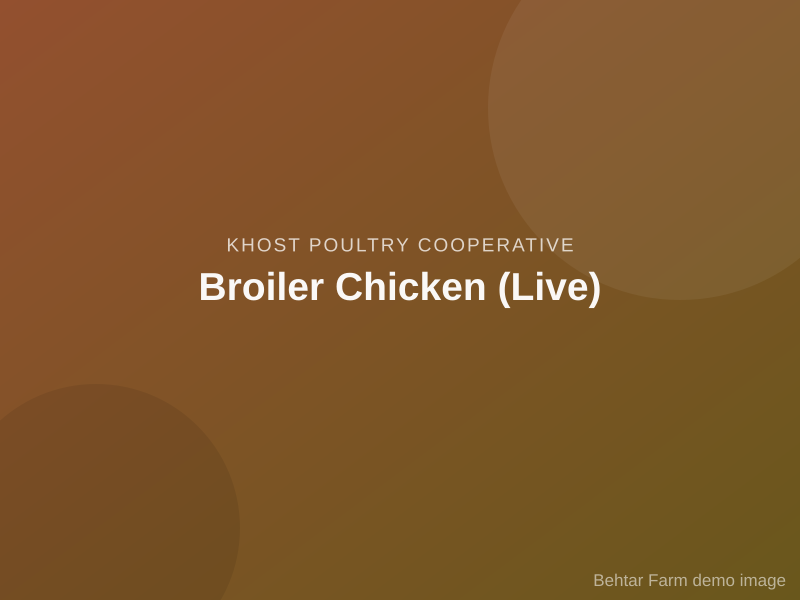 Broiler Chicken (Live)