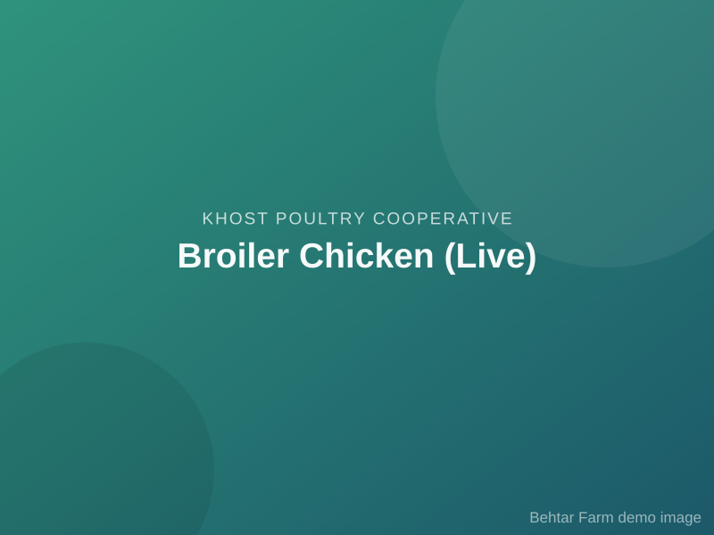 Broiler Chicken (Live)
