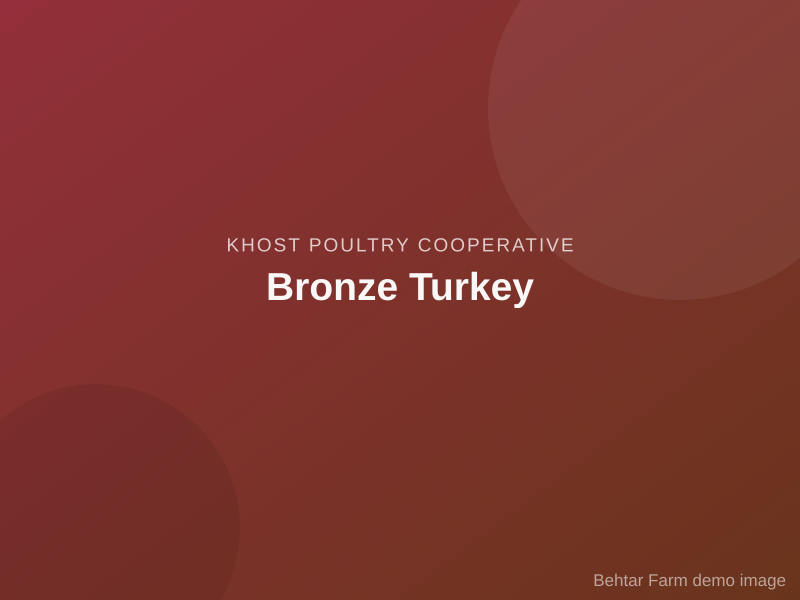 Bronze Turkey