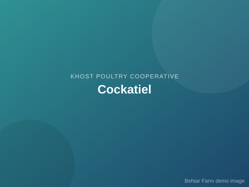 Cockatiel
