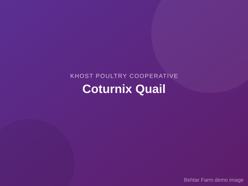 Coturnix Quail