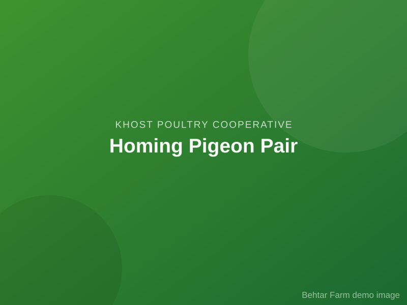 Homing Pigeon Pair