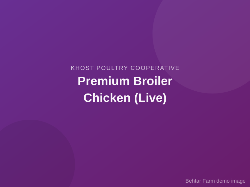 Premium Broiler Chicken (Live)