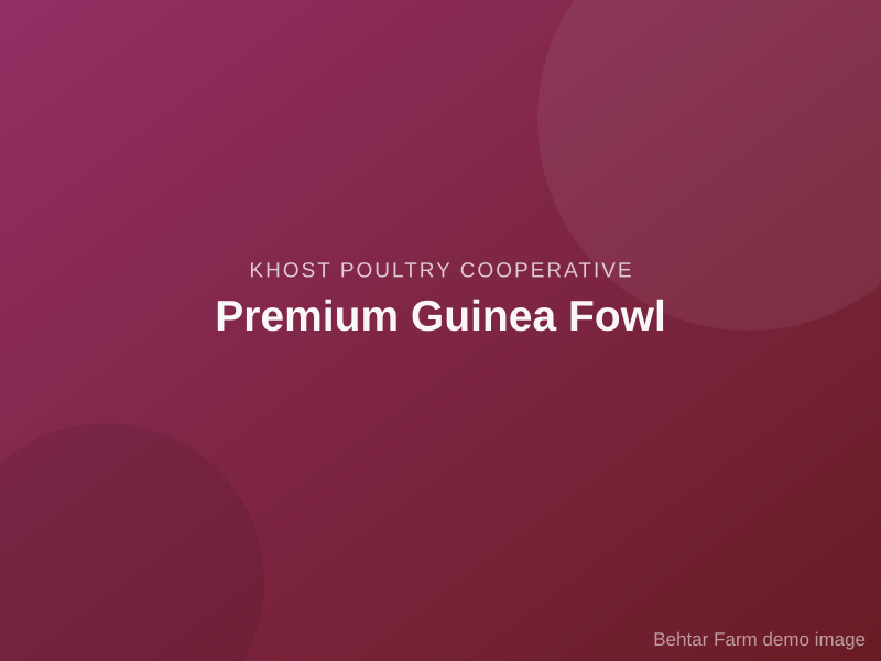 Premium Guinea Fowl