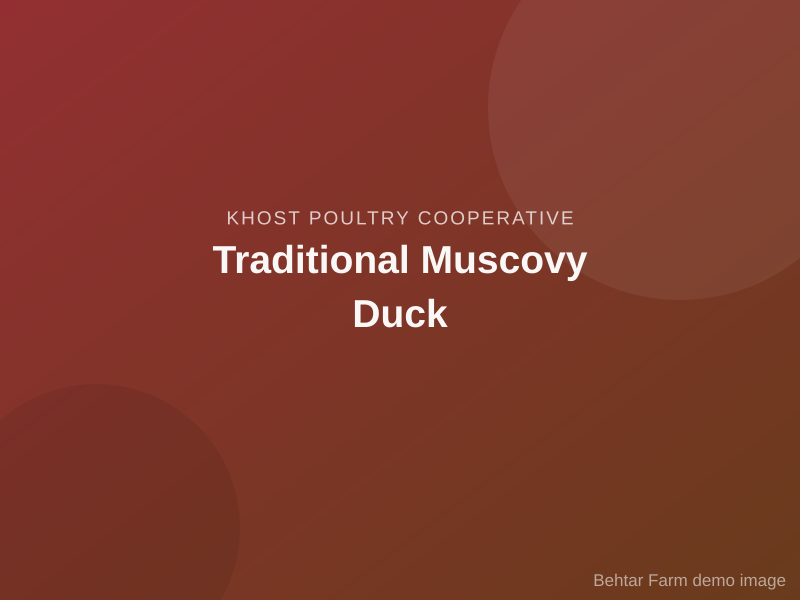Traditional Muscovy Duck
