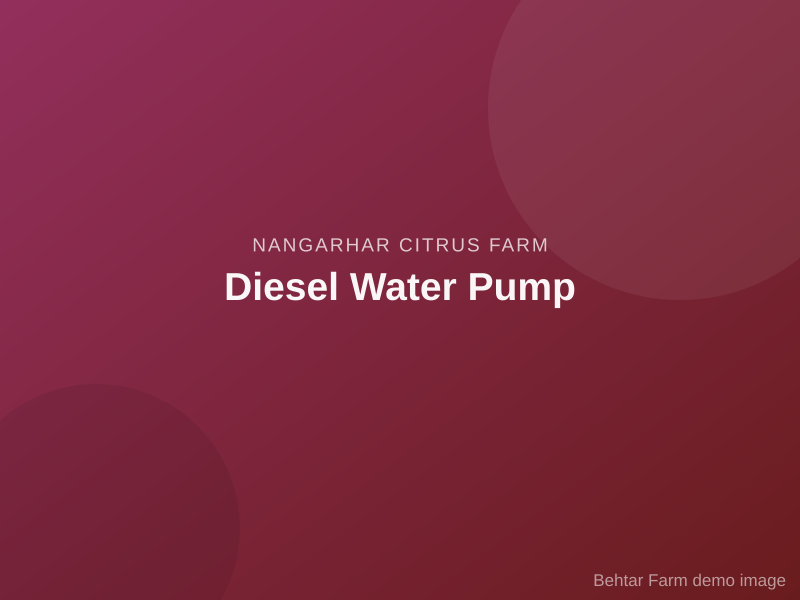 Diesel Water Pump