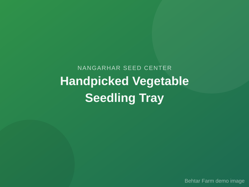 Handpicked Vegetable Seedling Tray
